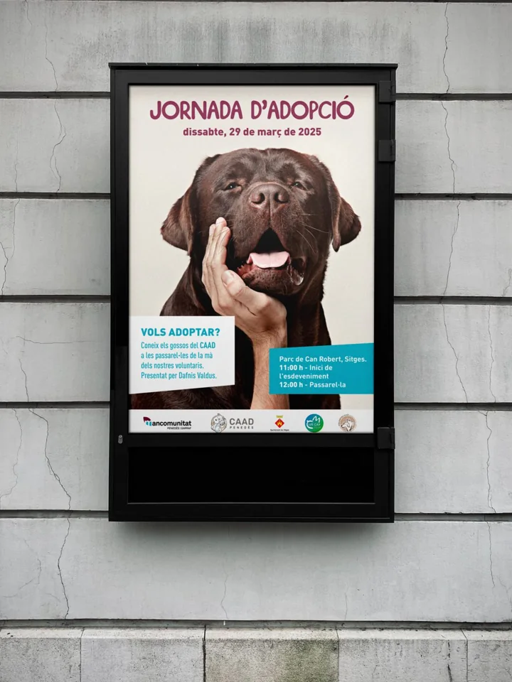 Cartelería — CAAD · branding Elevos